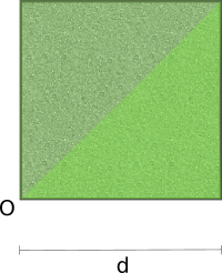 Image of the exercise